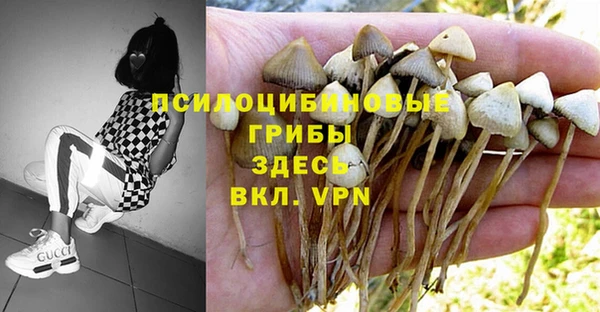 мяу мяу кристалл Балахна