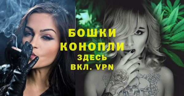 спайс Баксан