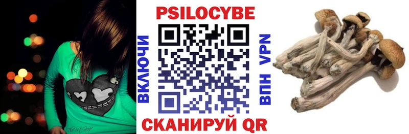 Псилоцибиновые грибы мицелий  нарко площадка наркотические препараты  Вяземский 